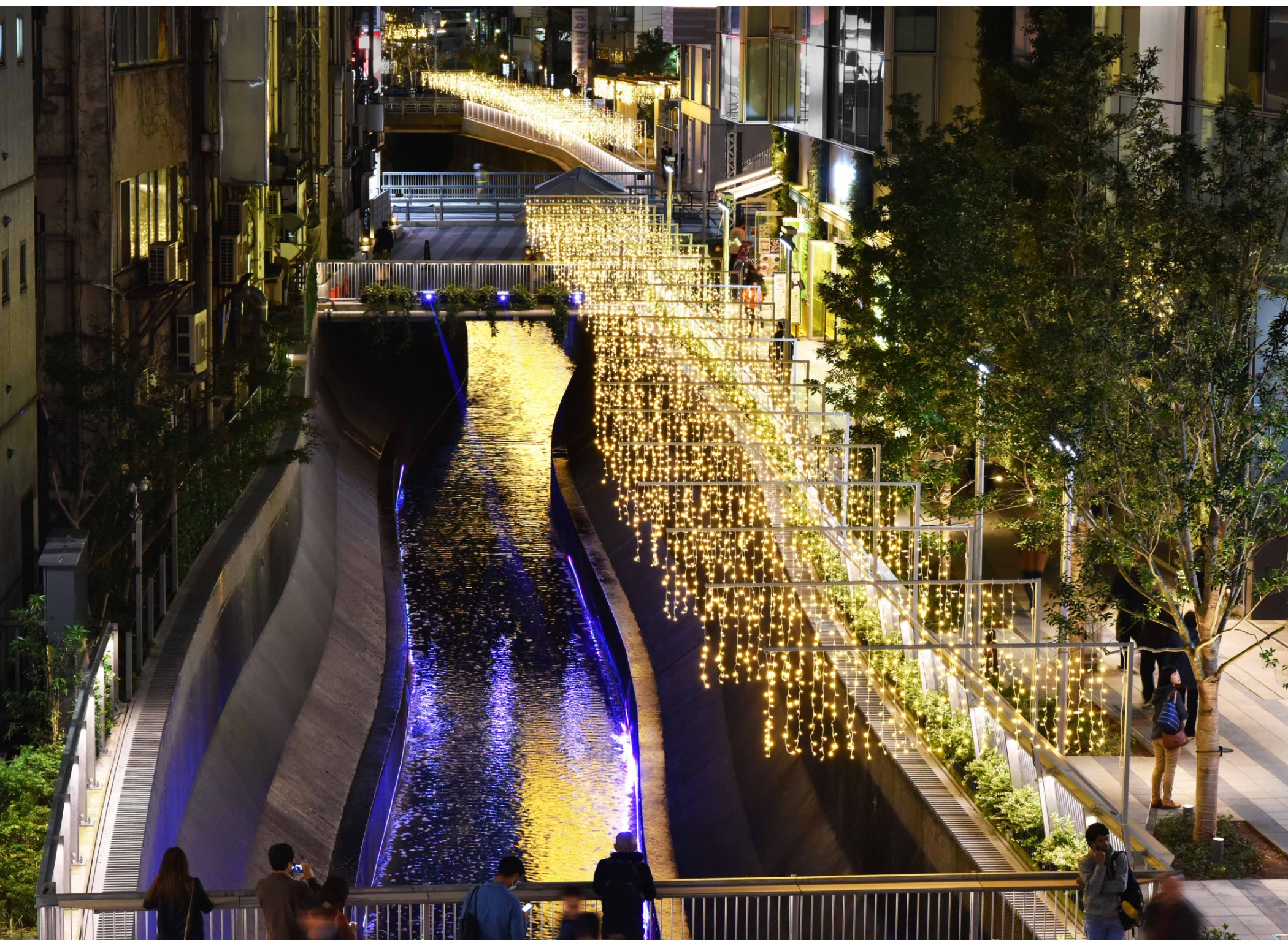涩谷河圣诞节彩灯