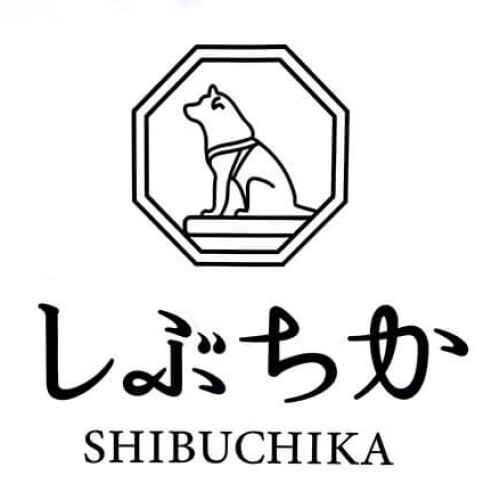 shibuchika購物道路澀谷地下商店街。澀谷站前面的自由交叉點的地下有"shibuchika"。