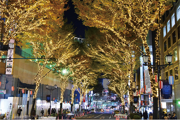 SHIBUYA WINTER ILLUMINATION 2019-2020 COLLECTIONS