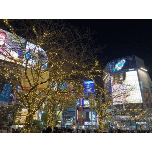 渋谷駅前エリアマネジメント - 「SHIBUYA WINTER ILLUMINATION 2021」開催！