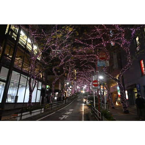 渋谷駅前エリアマネジメント - 2024年渋谷駅周辺クリスマスイルミネーション情報