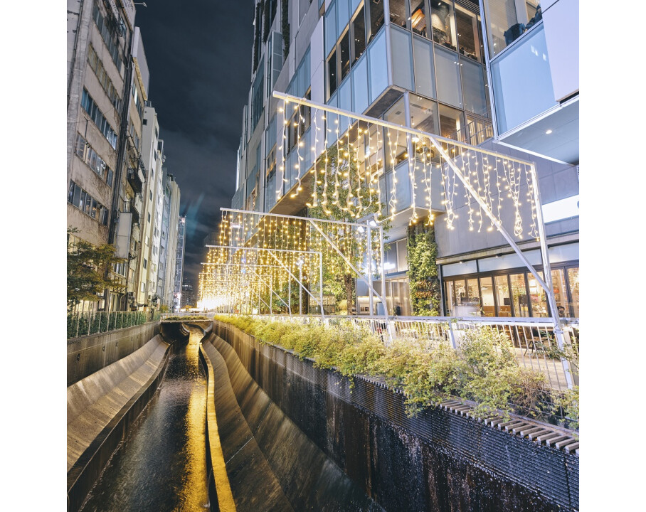 2021年 渋谷駅前エリア ウィンターイルミネーション